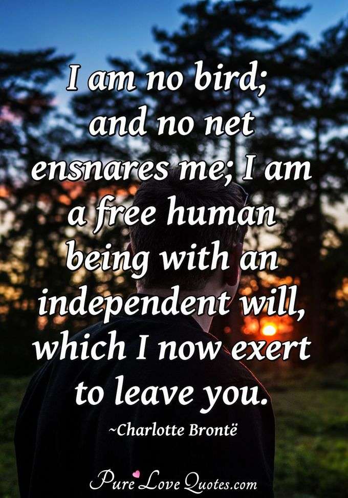 I am no bird; and no net ensnares me; I am a free human being with an independent will, which I now exert to leave you. - Charlotte Brontë