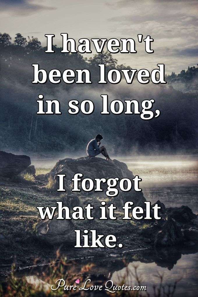 I haven't been loved in so long, I forgot what it felt like. - Anonymous