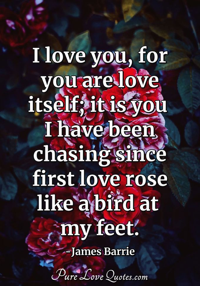 I love you, for you are love itself; it is you I have been chasing since first love rose like a bird at my feet. - James Barrie