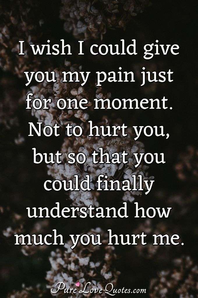 I wish I could give you my pain just for one moment. Not to hurt you, but so that you could finally understand how much you hurt me. - Anonymous