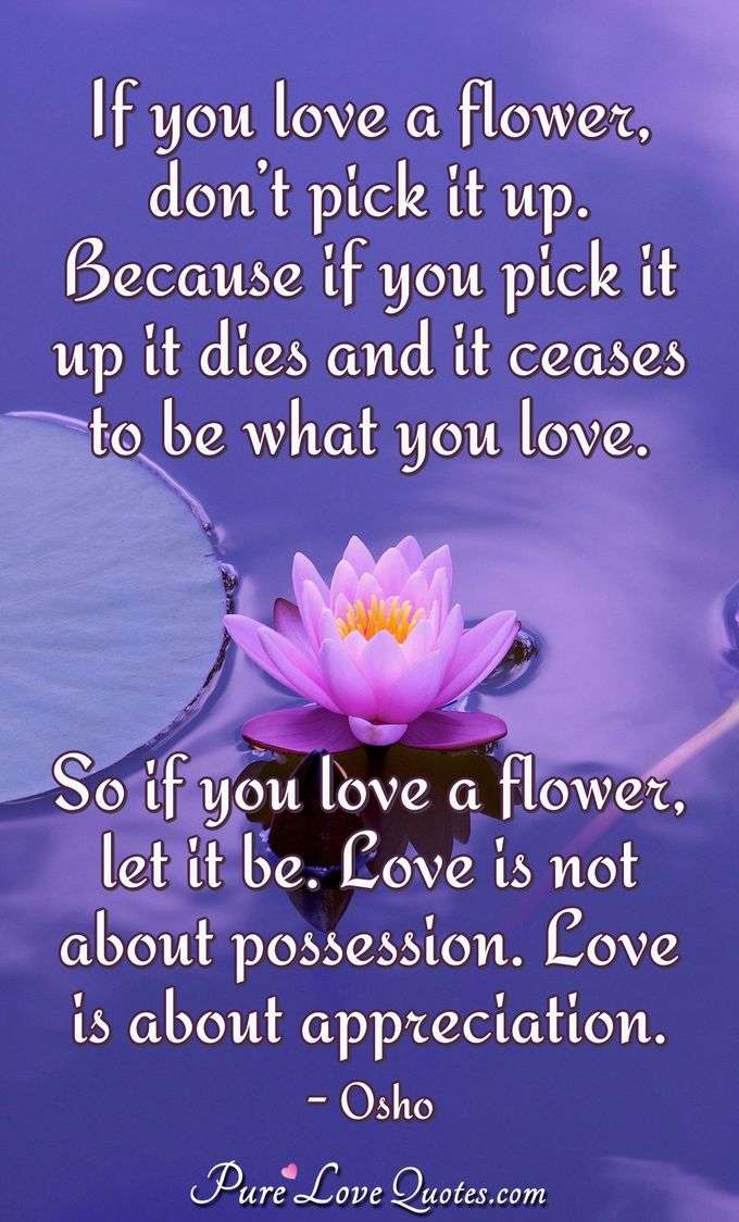 If you love a flower, don’t pick it up. Because if you pick it up it dies and it ceases to be what you love. So if you love a flower, let it be. Love is not about possession. Love is about appreciation. - Osho