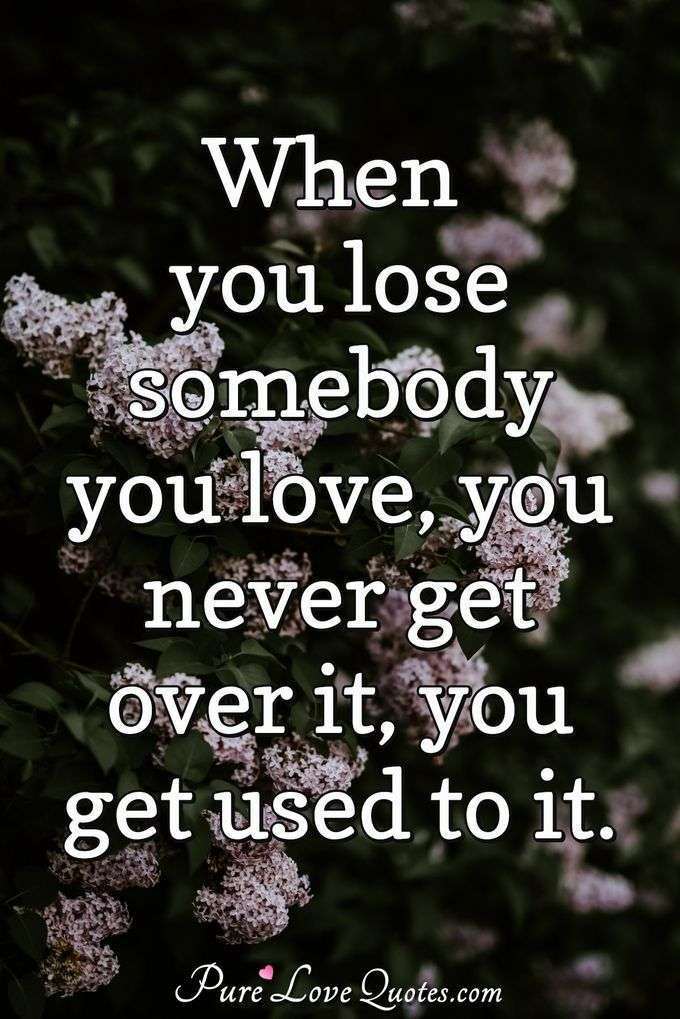 When you lose somebody you love, you never get over it, you get used to it. - Anonymous
