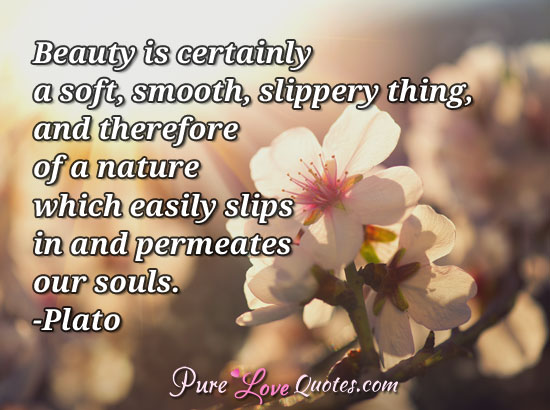 Beauty is certainly a soft, smooth, slippery thing, and therefore of a nature which easily slips in and permeates our souls.