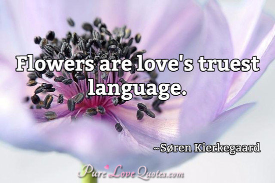 Flowers are love's truest language.
