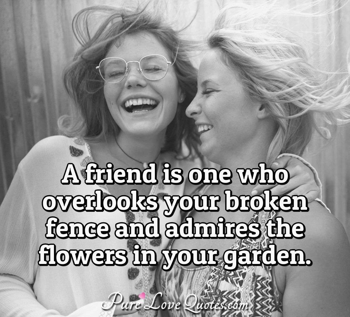 A friend is one who overlooks your broken fence and admires the flowers in your garden. - Anonymous