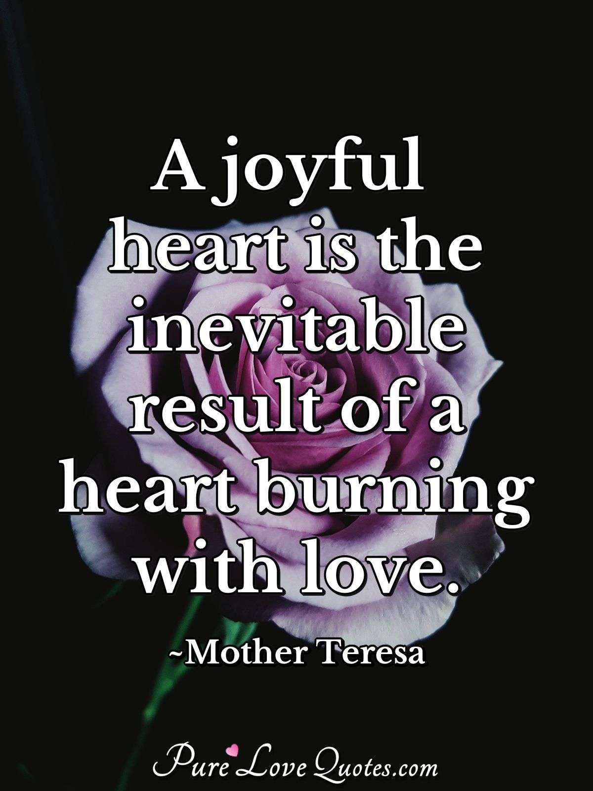 A joyful heart is the inevitable result of a heart burning with love. - Mother Teresa