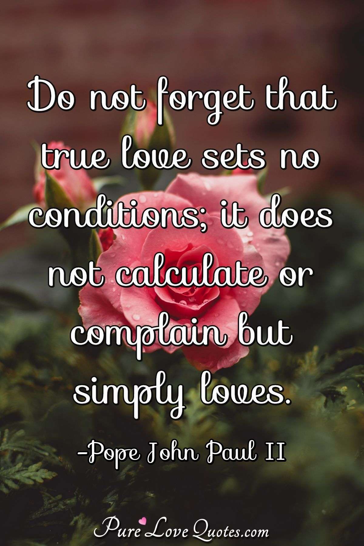 Do not forget that true love sets no conditions; it does not calculate or complain but simply loves. - Pope John Paul II