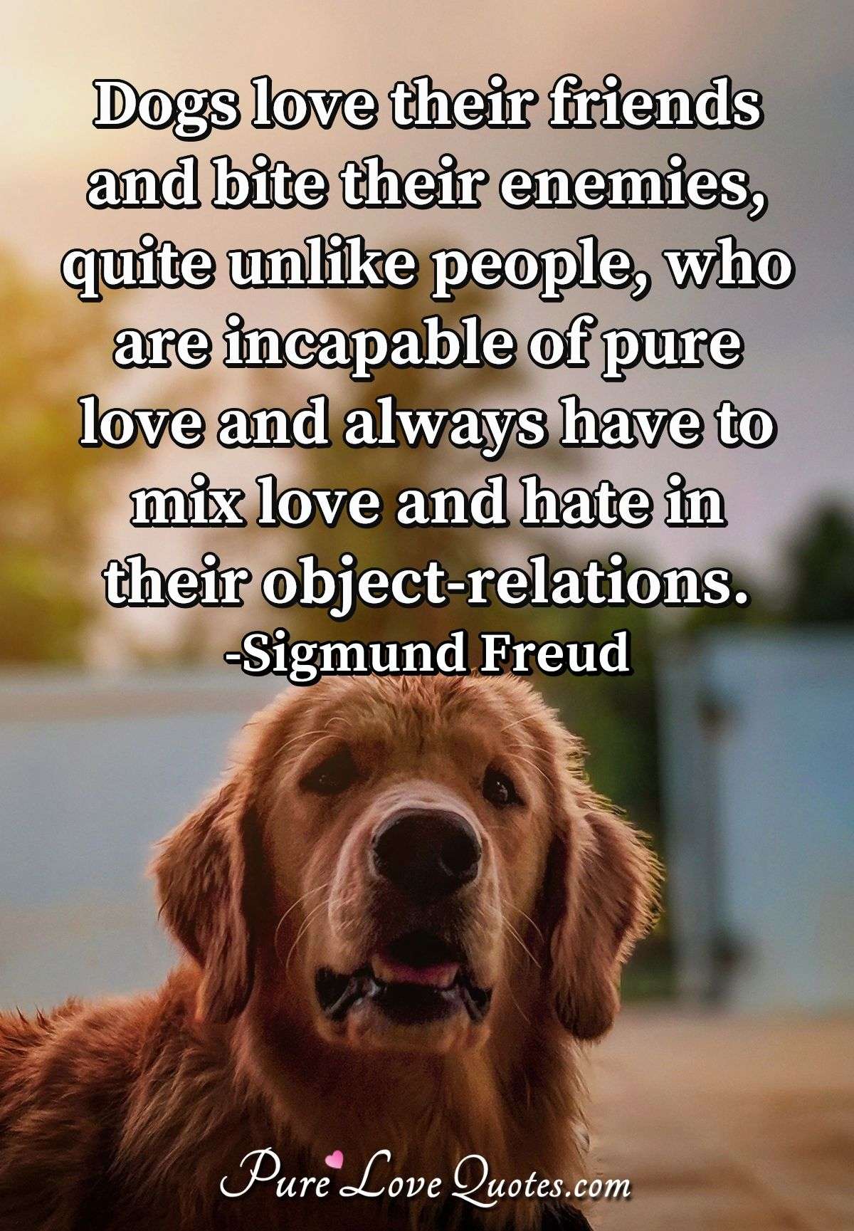 Dogs love their friends and bite their enemies, quite unlike people, who  are... | PureLoveQuotes