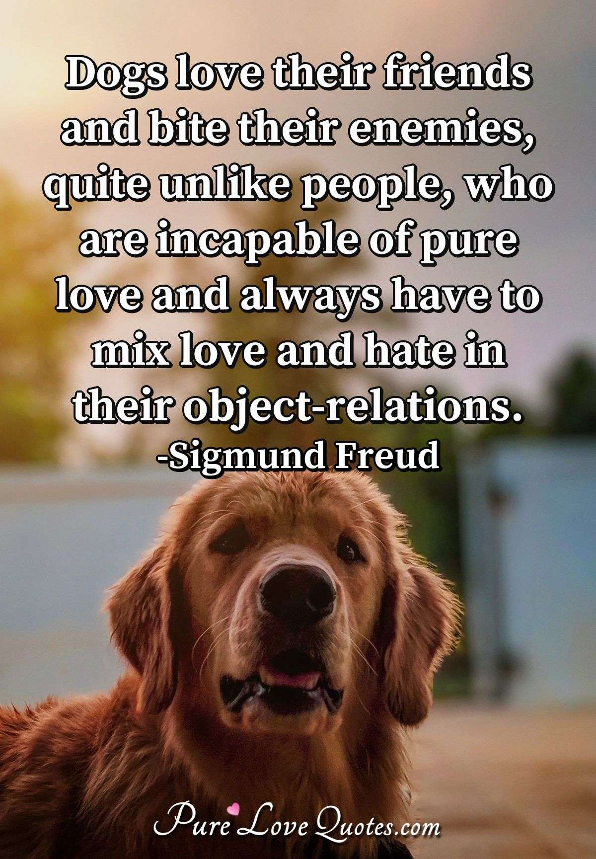 animal quotes love