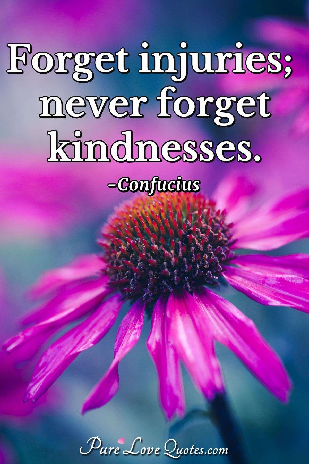 Forget injuries; never forget kindnesses. - Confucius