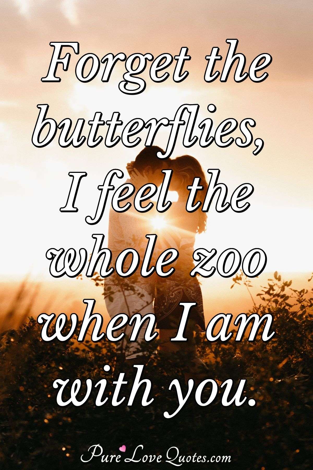 Forget the butterflies, I feel the whole zoo when I am with you. - Anonymous