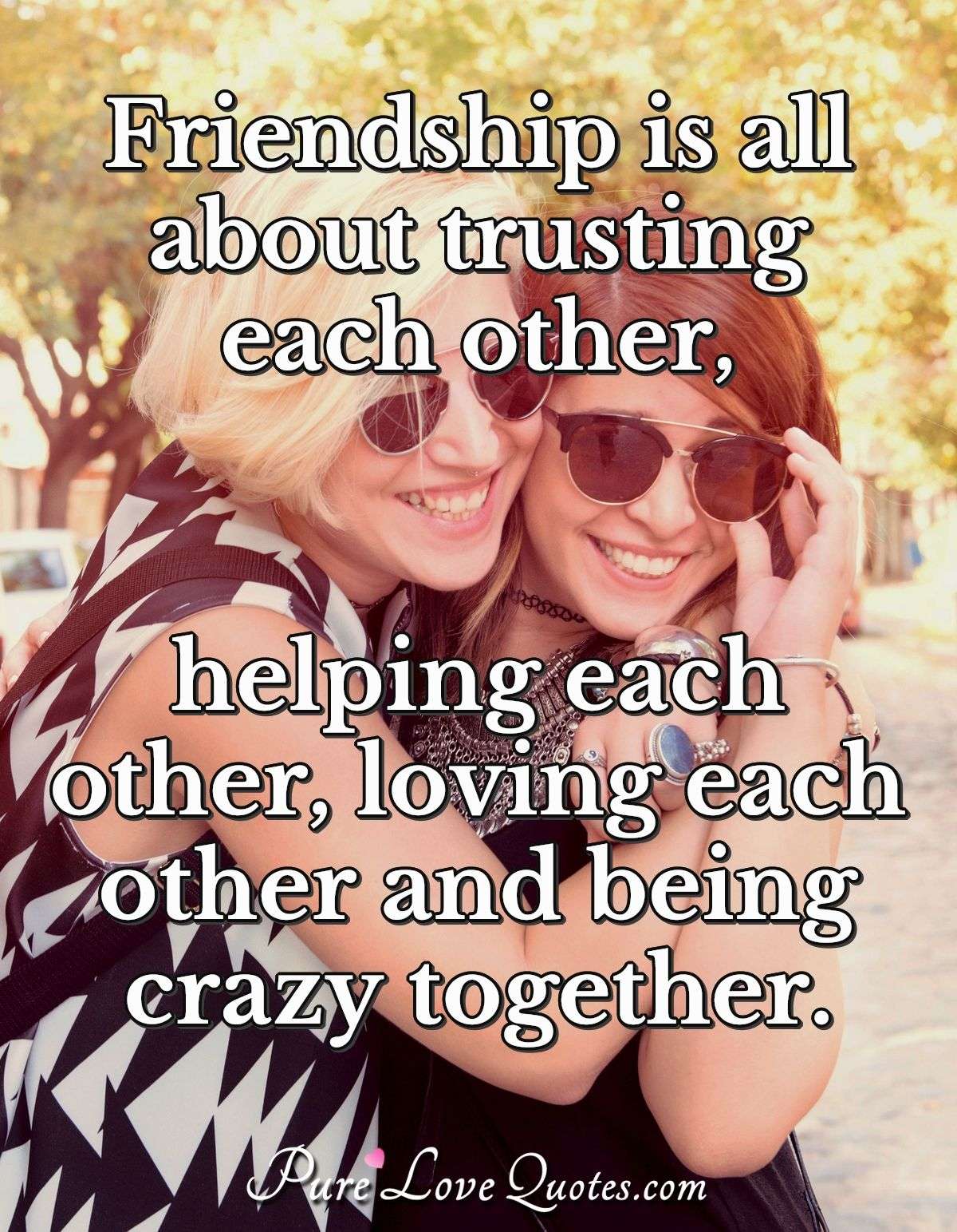 Friendship is all about trusting each other, helping each other, loving each other and being crazy together. - Anonymous