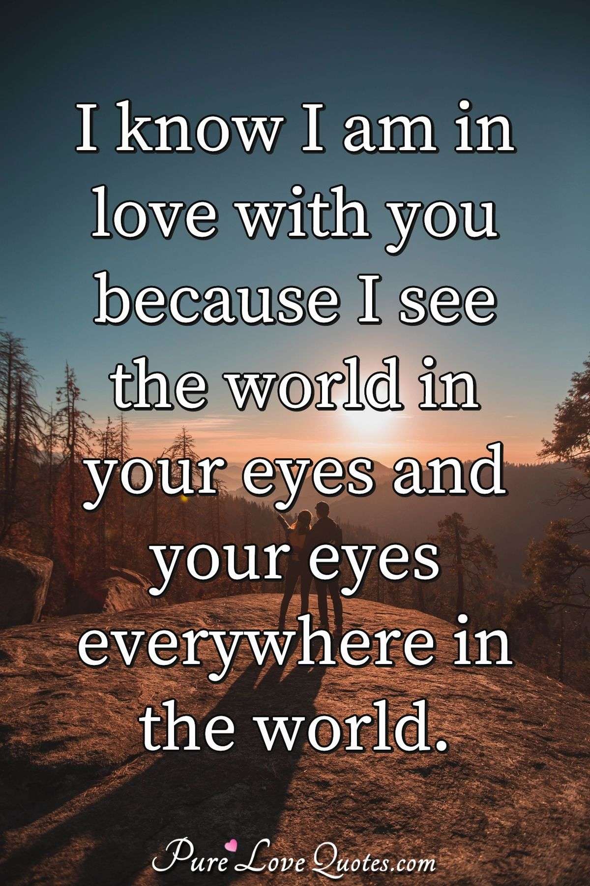 I know I am in love with you because I see the world in your eyes and your eyes everywhere in the world. - Anonymous