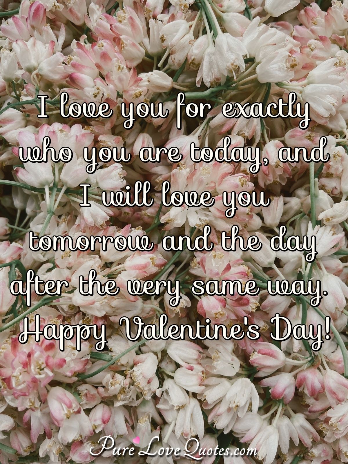 I love you for exactly who you are today, and I will love you tomorrow and the day after the very same way. Happy Valentine's Day! - Anonymous