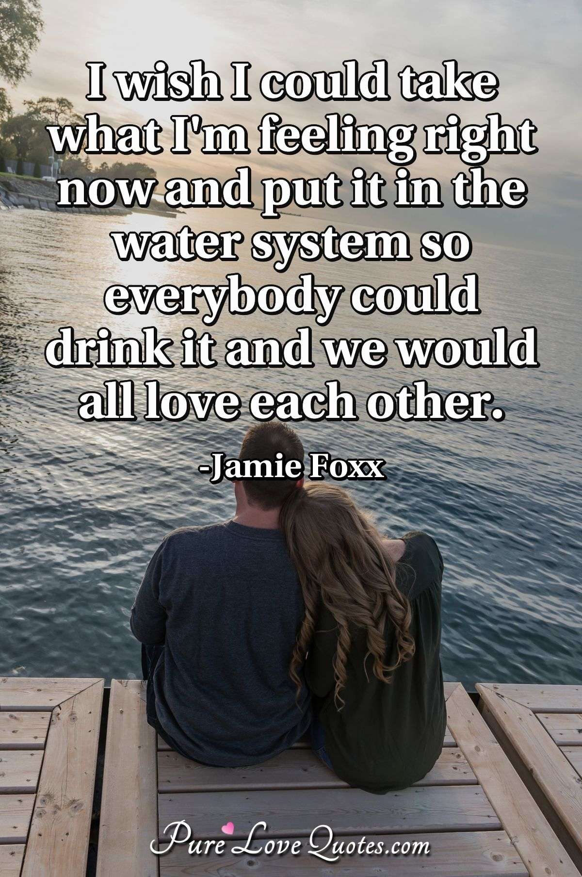 I wish I could take what I'm feeling right now and put it in the water system so everybody could drink it and we would all love each other. - Jamie Foxx
