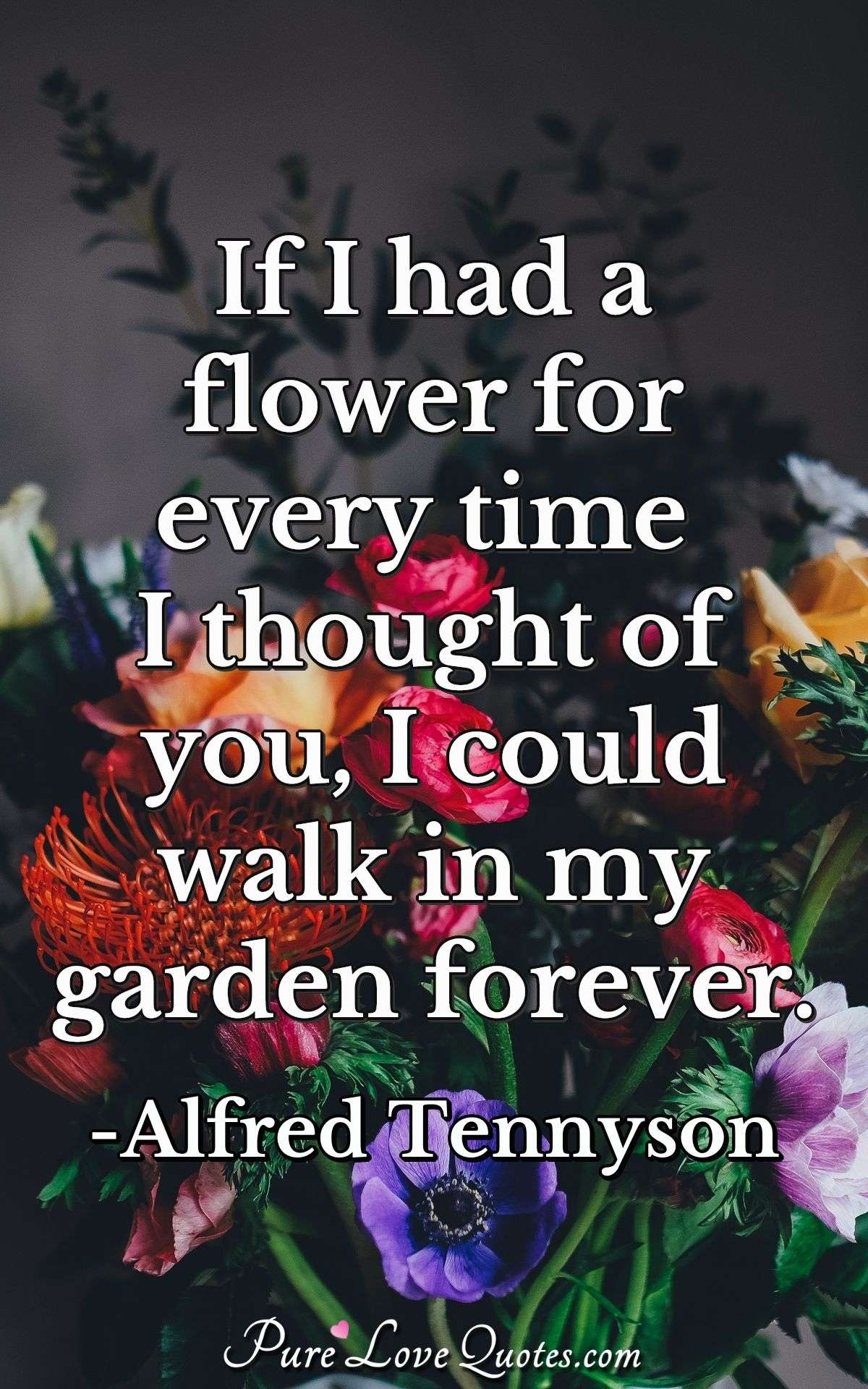 If I had a flower for every time I thought of you, I could walk in my garden forever. - Alfred Tennyson
