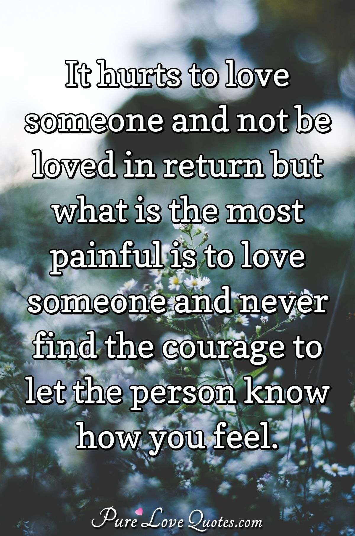 It hurts to love someone and not be loved in return but what is the most painful is to love someone and never find the courage to let the person know how you feel. - Anonymous