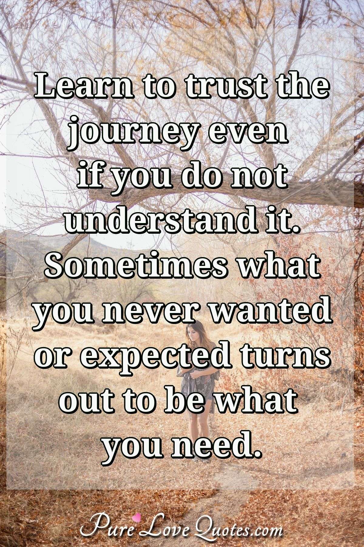 Learn to trust the journey even if you do not understand it. Sometimes what you never wanted or expected turns out to be what you need. - Anonymous