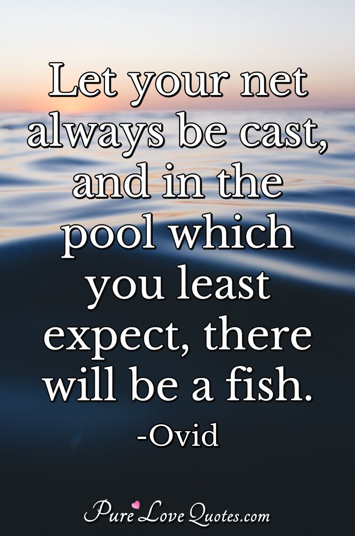 Let your net always be cast, and in the pool which you least expect, there will be a fish. - Ovid