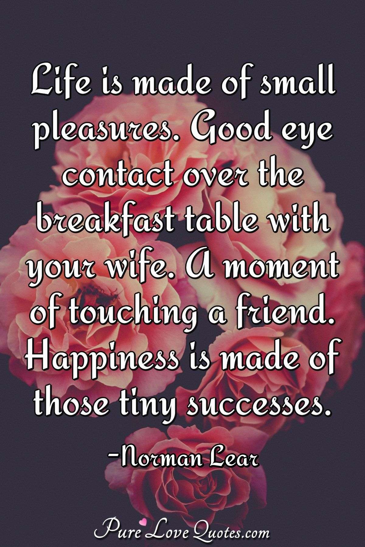 Life is made of small pleasures. Good eye contact over the breakfast table with your wife. A moment of touching a friend. Happiness is made of those tiny successes. - Norman Lear