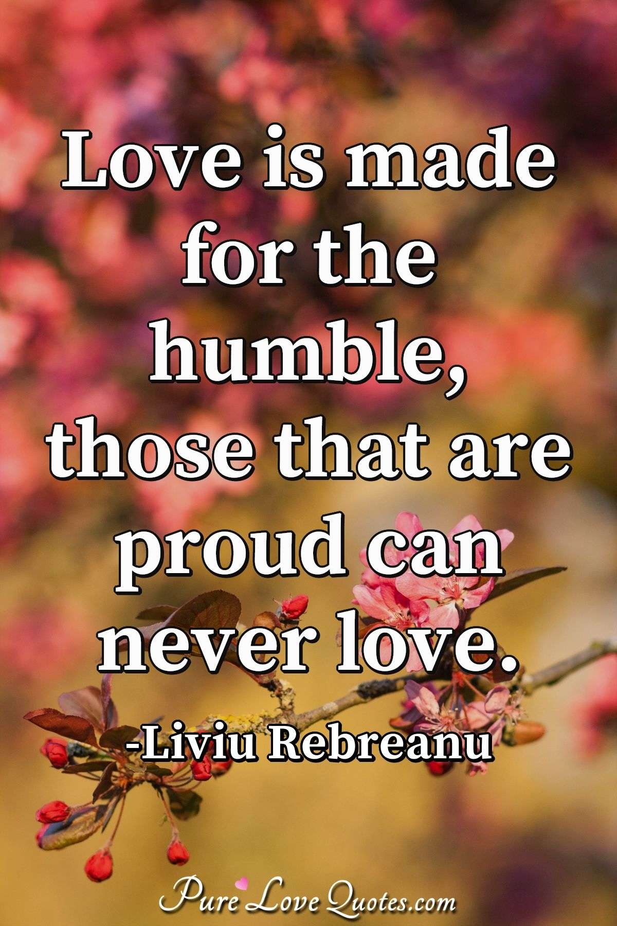 Love is made for the humble, those that are proud can never love. - Liviu Rebreanu