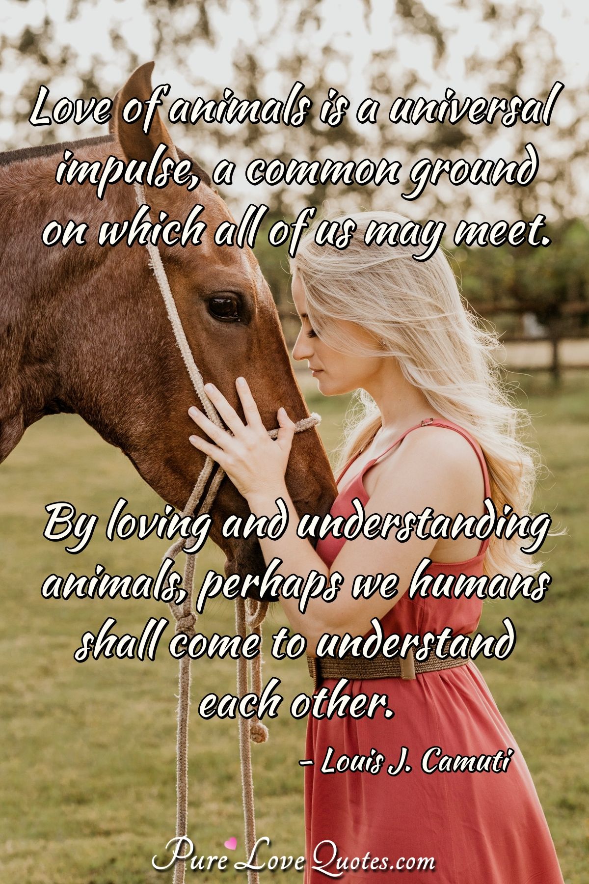 Love Of Animals Is A Universal Impulse A Common Ground On Which All Of