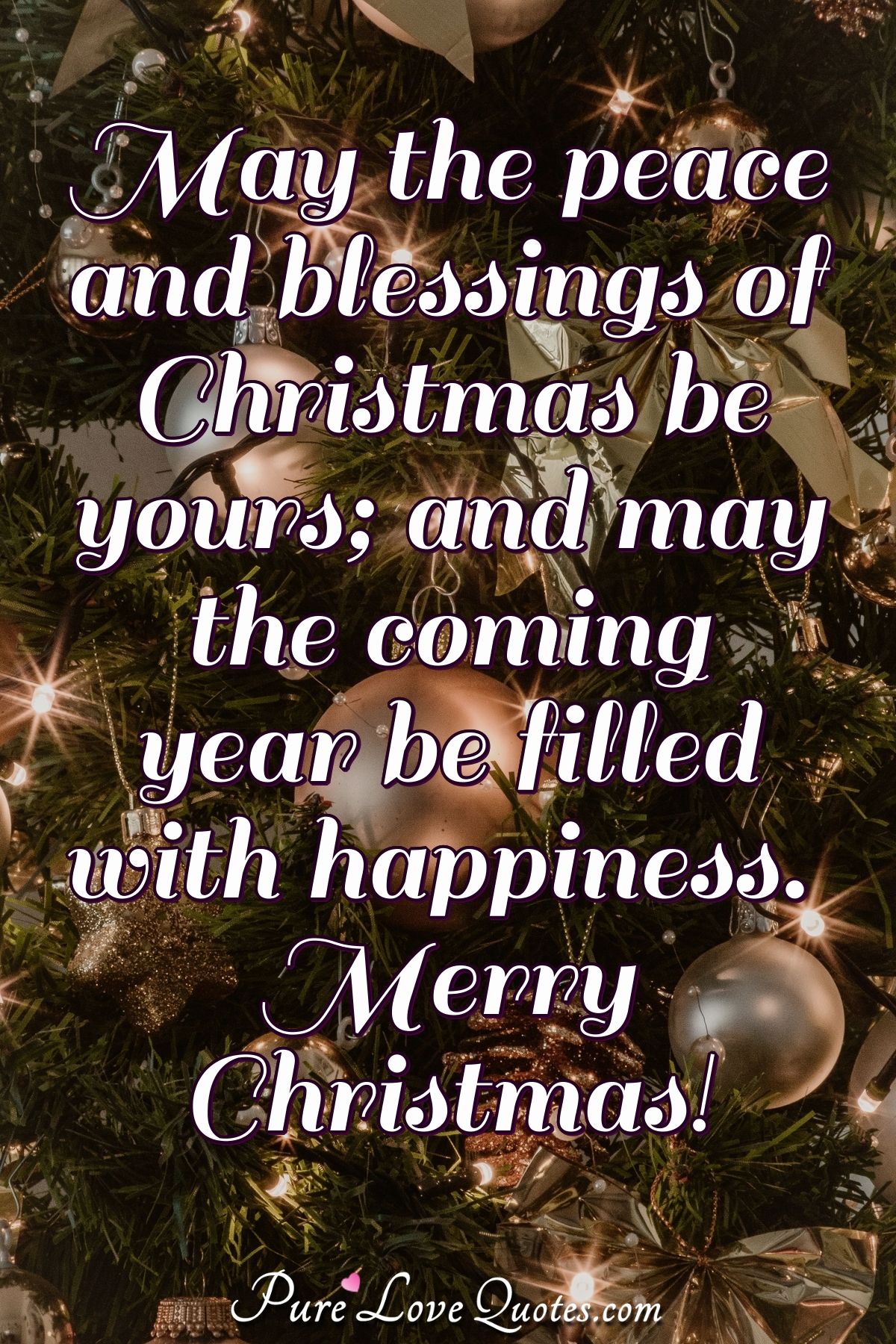 May The Peace And Blessings Of Christmas Be Yours And May The Coming Year Be Purelovequotes