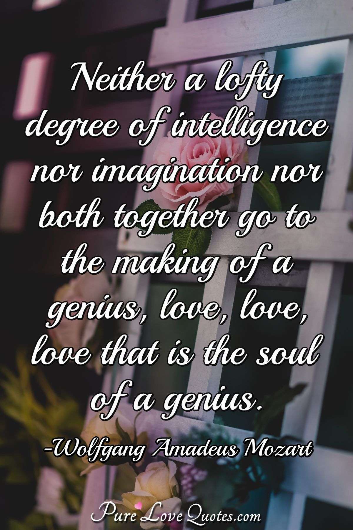 Neither a lofty degree of intelligence nor imagination nor both together go to the making of a genius, love, love, love that is the soul of a genius. - Wolfgang Amadeus Mozart