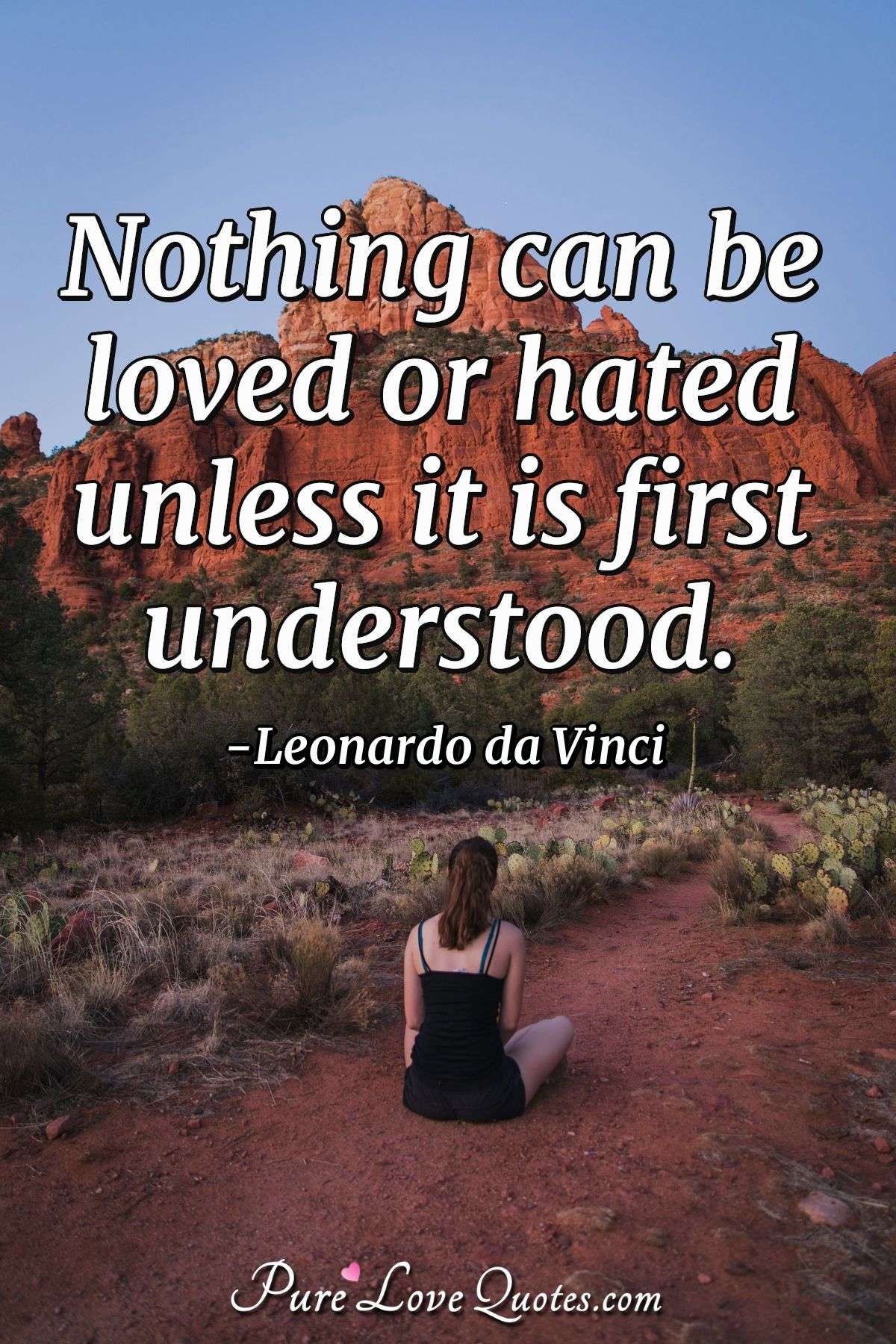 Nothing can be loved or hated unless it is first understood. - Leonardo da Vinci