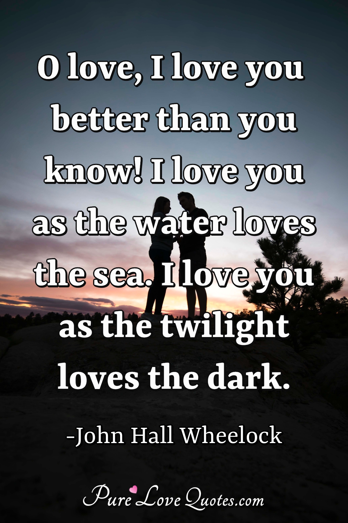 O love, I love you better than you know!<br/>
I love you as the water loves the sea.<br/>
I love you as the twilight loves the dark. - John Hall Wheelock