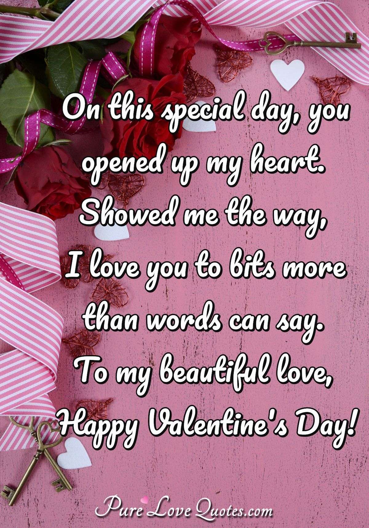 On this special day, you opened up my heart. Showed me the way, I love you to bits more than words can say. To my beautiful love, Happy Valentine's Day! - Anonymous
