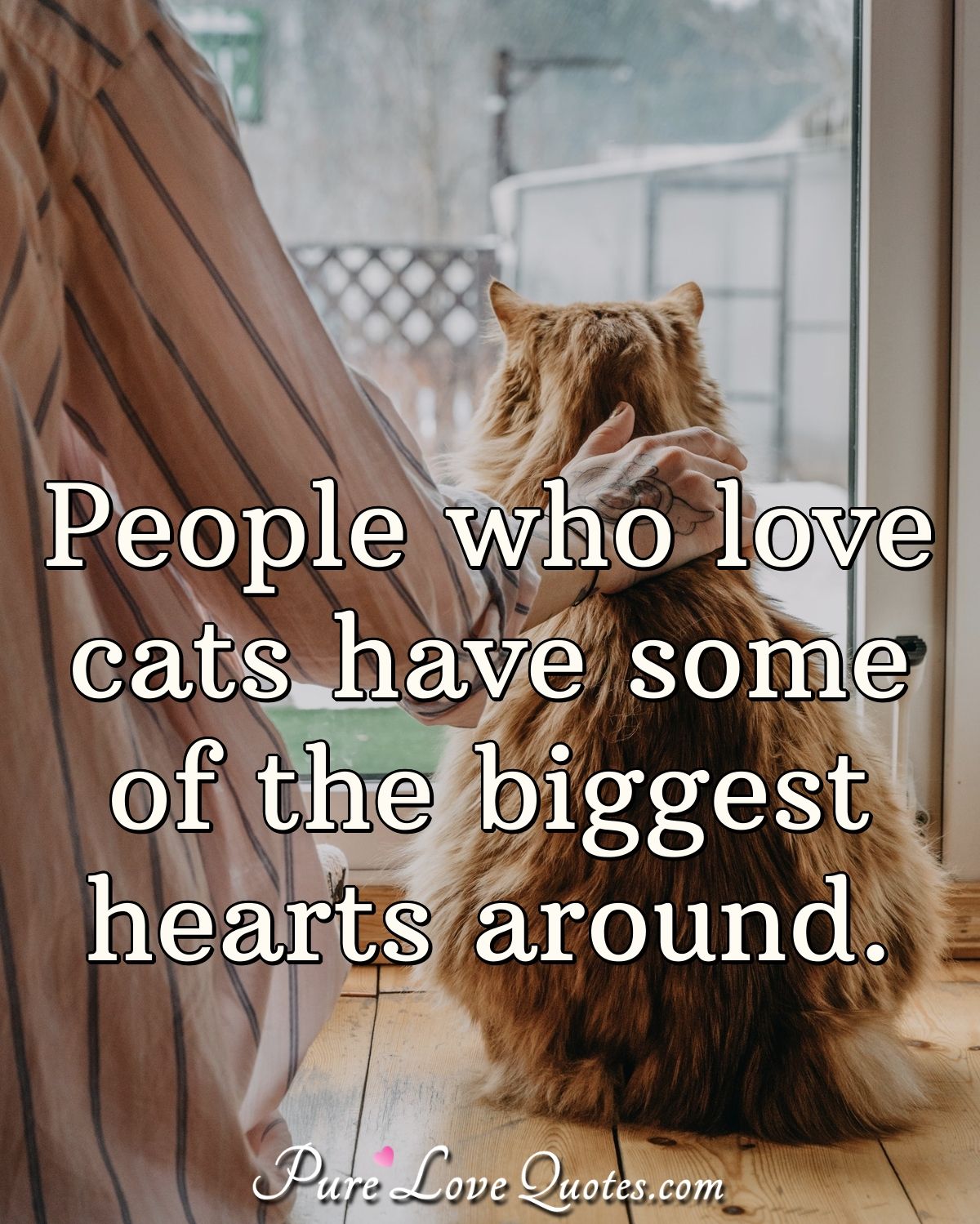 People Who Love Cats Have Some Of The Biggest Hearts Around 