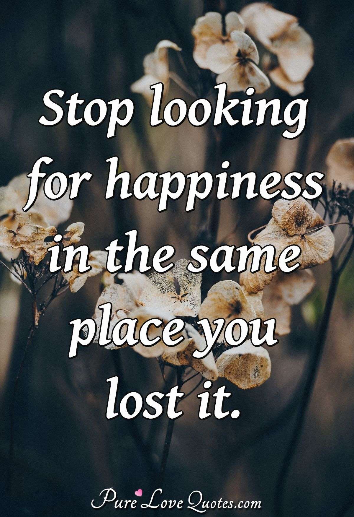 Stop looking for happiness in the same place you lost it. - Anonymous