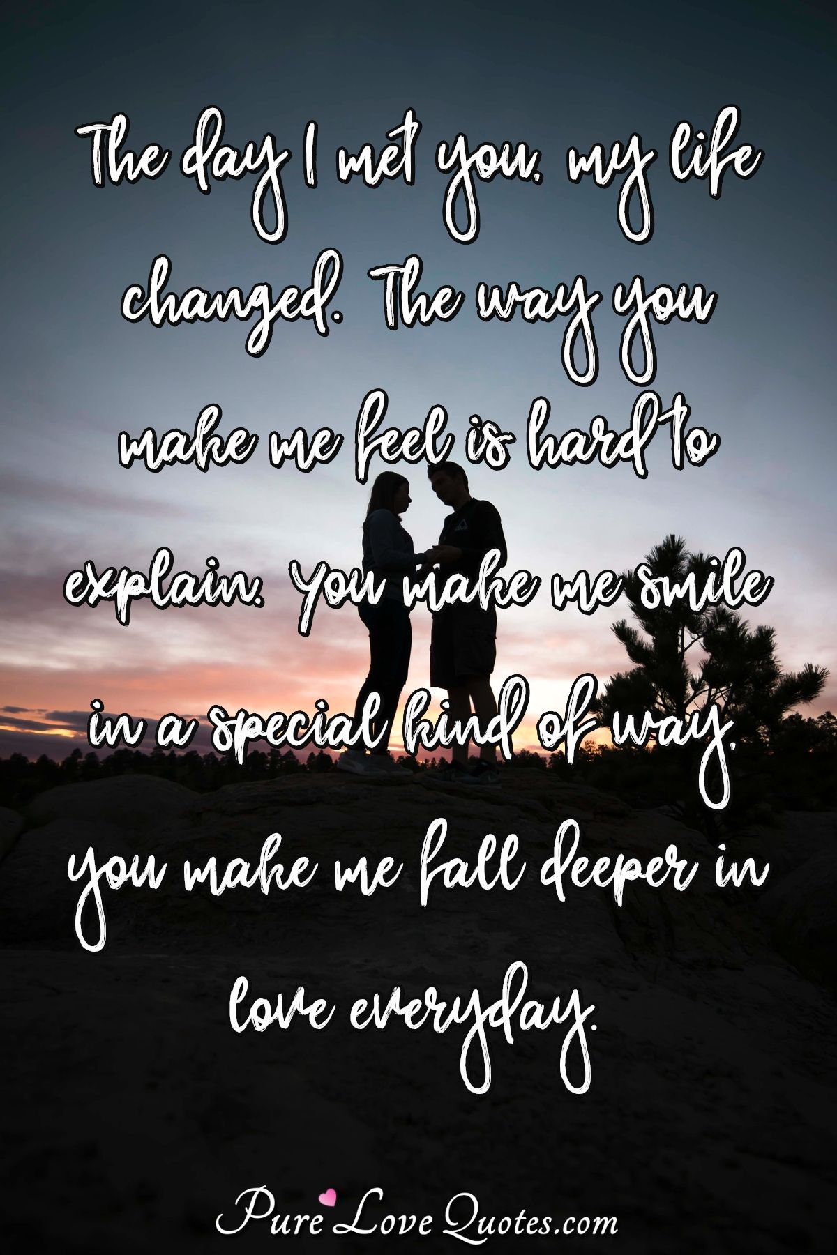 The Day I Met You, My Life Changed. The Way You Make Me Feel Is Hard To Explain... | Purelovequotes