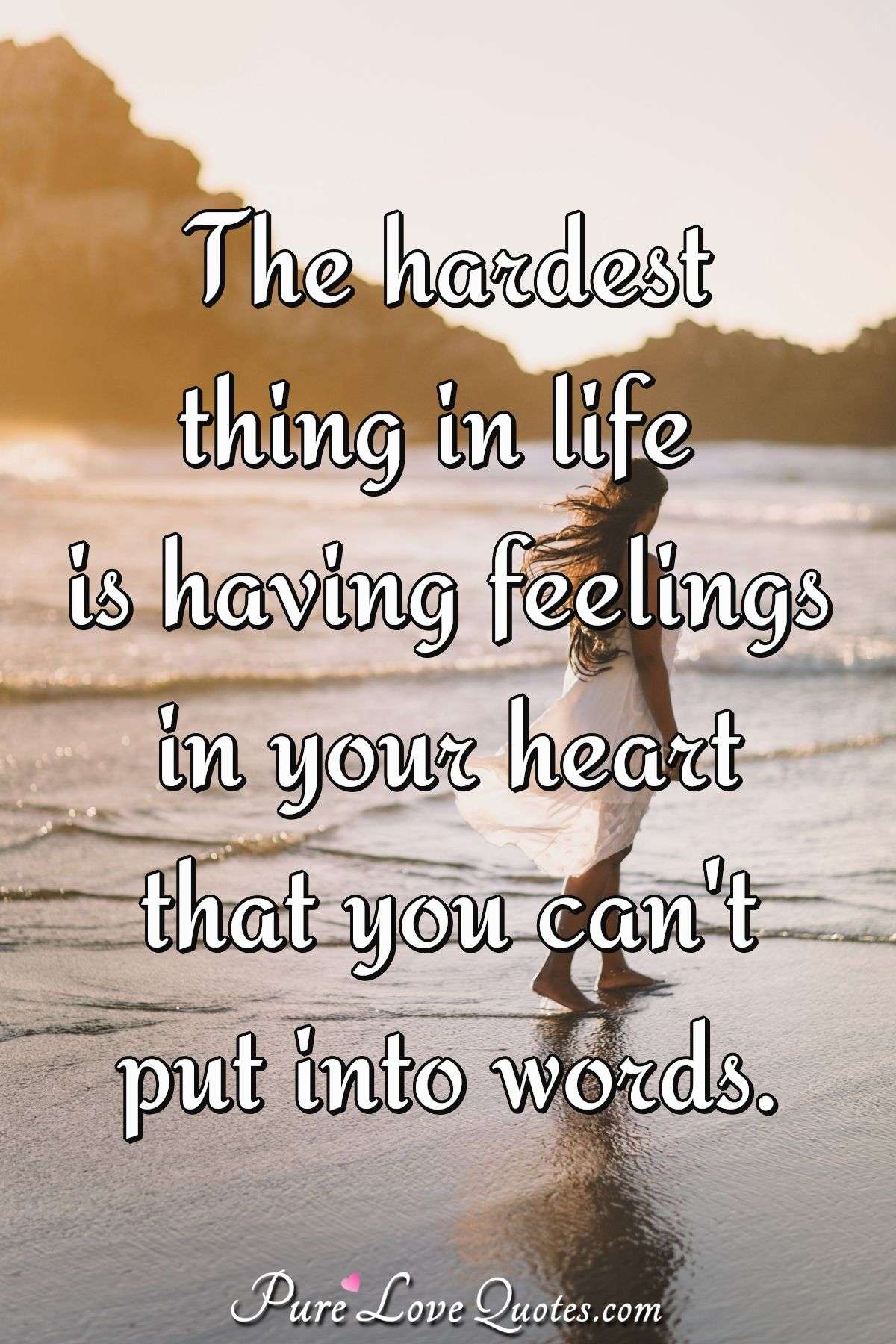 The hardest thing in life is having feelings in your heart that you can't describe.