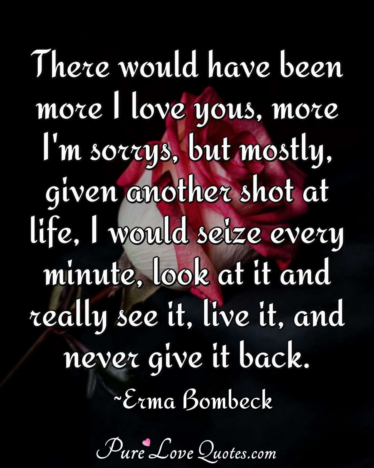 There would have been more I love yous, more I'm sorrys, but mostly, given another shot at life, I would seize every minute, look at it and really see it, live it, and never give it back. - Erma Bombeck
