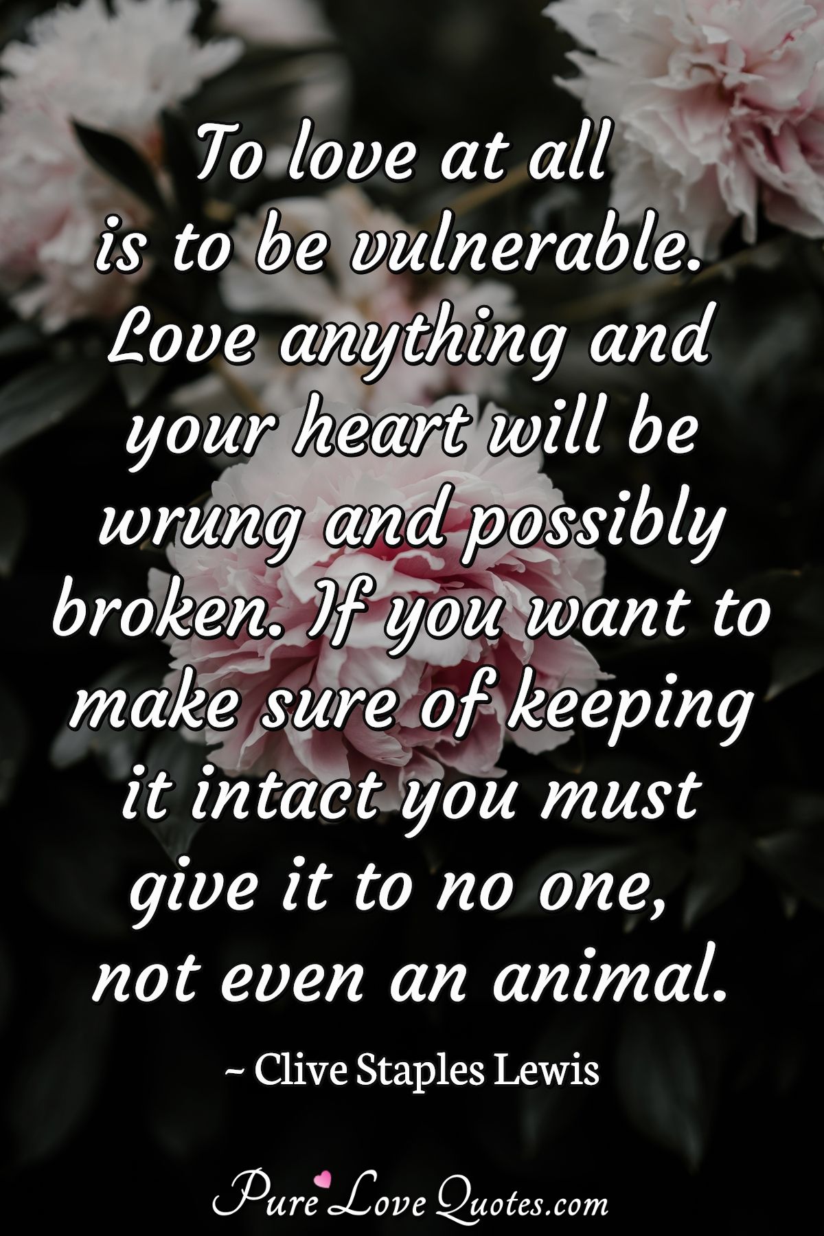 To love at all is to be vulnerable. Love anything and your heart will be wrung and possibly broken. If you want to make sure of keeping it intact you must give it to no one, not even an animal. - Clive Staples Lewis