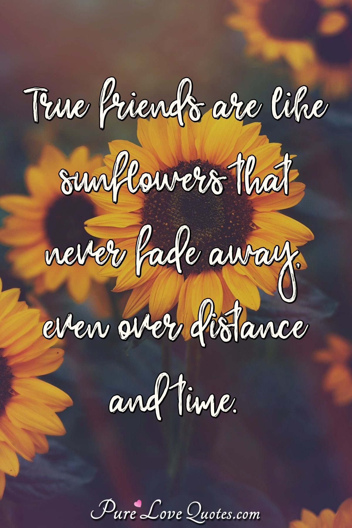 2200 Romantic Love Quotes Sayings And Messages 2200 Romantic Love Quotes Sayings And Messages