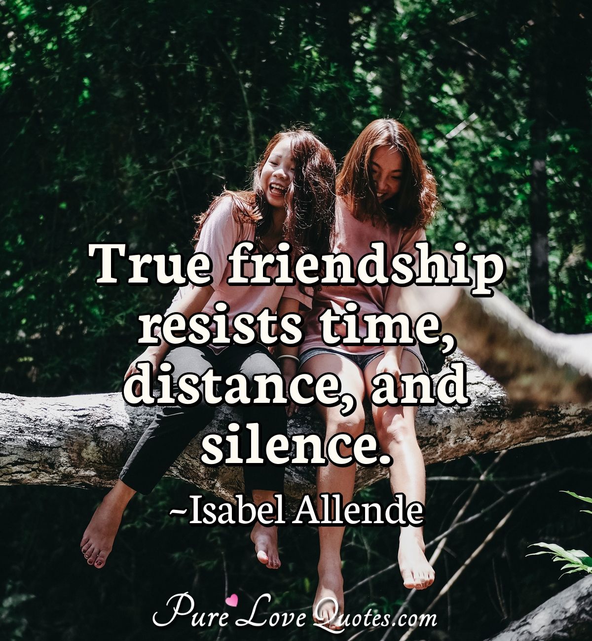 True friendship resists time, distance, and silence. | PureLoveQuotes