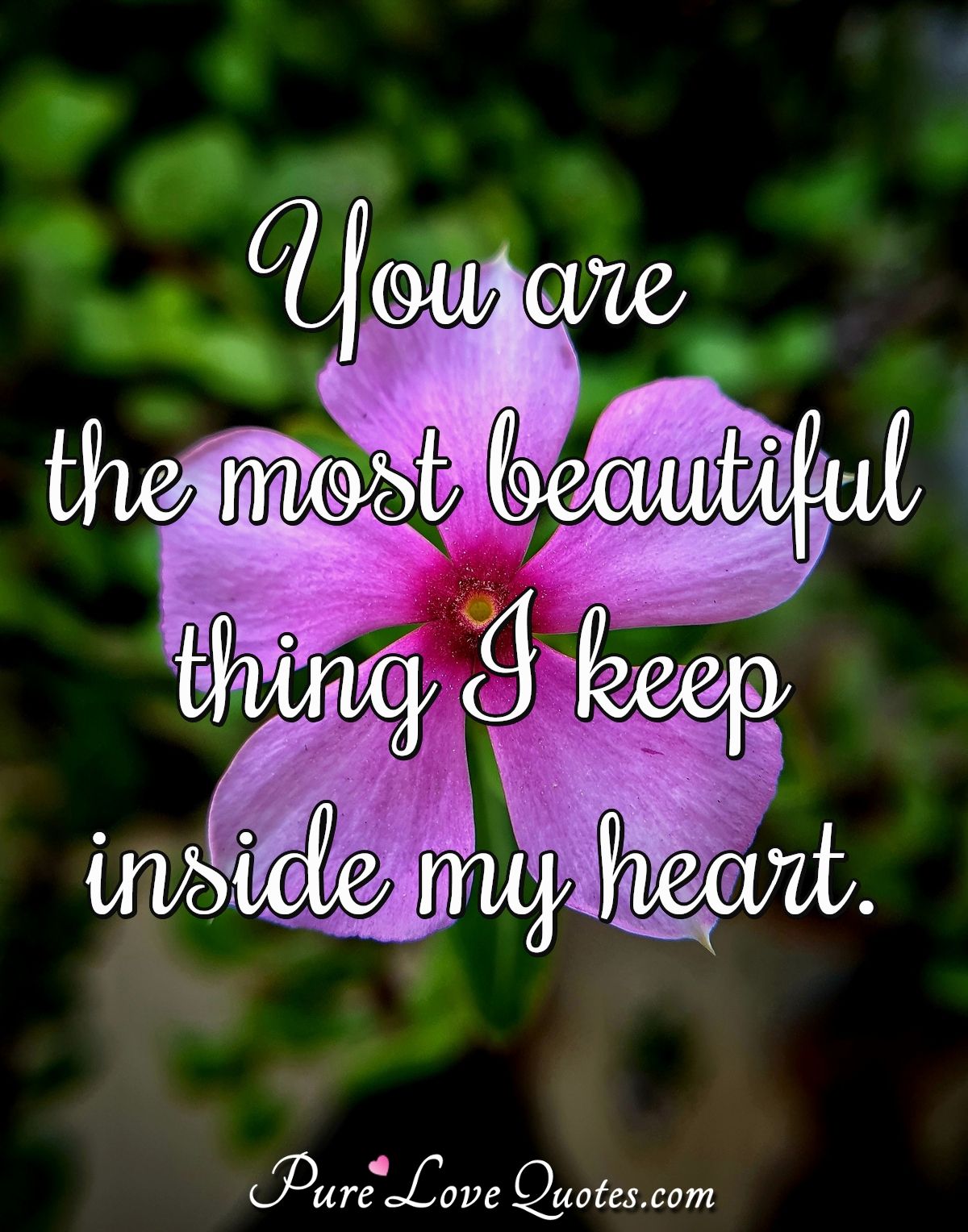 You are the most beautiful thing I keep inside my heart. - Anonymous