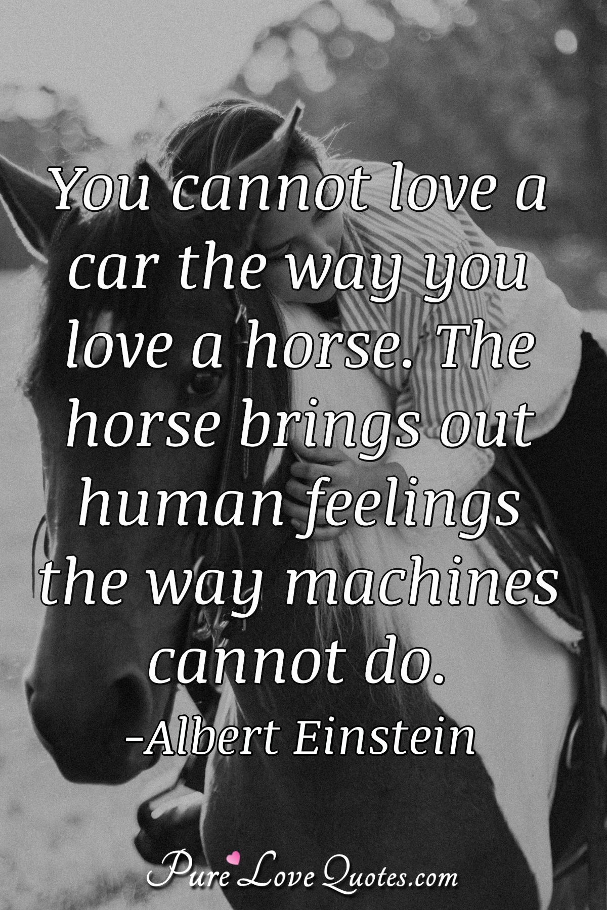 You cannot love a car the way you love a horse. The horse brings out human feelings the way machines cannot do.