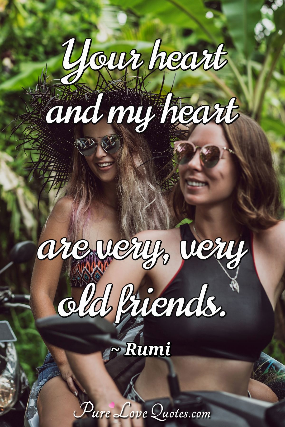 Your heart and my heart are very, very old friends. - Rumi