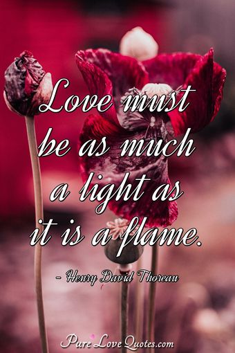 133 Quotes About The Meaning Love | PureLoveQuotes