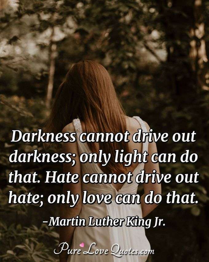Darkness cannot drive out darkness; only light can do that. Hate cannot drive out hate; only love can do that. - Martin Luther King Jr.