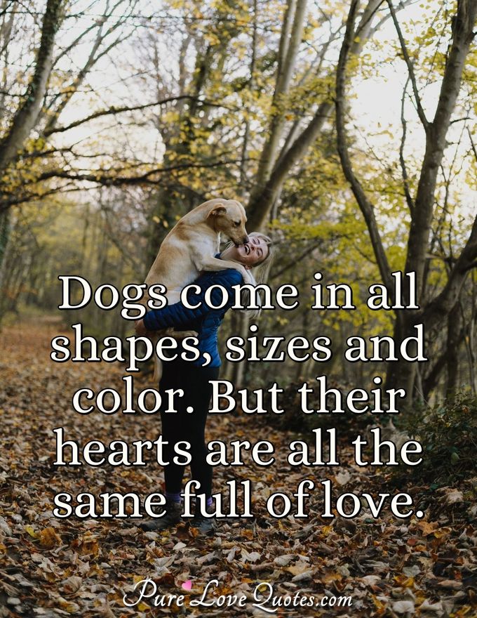 Dogs come in all shapes, sizes and color. But their hearts are all the same full of love. - Anonymous