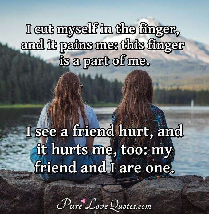 I cut myself in the finger, and it pains me: this finger is a part of me. I see a friend hurt, and it hurts me, too: my friend and I are one. - Nicola Tesla