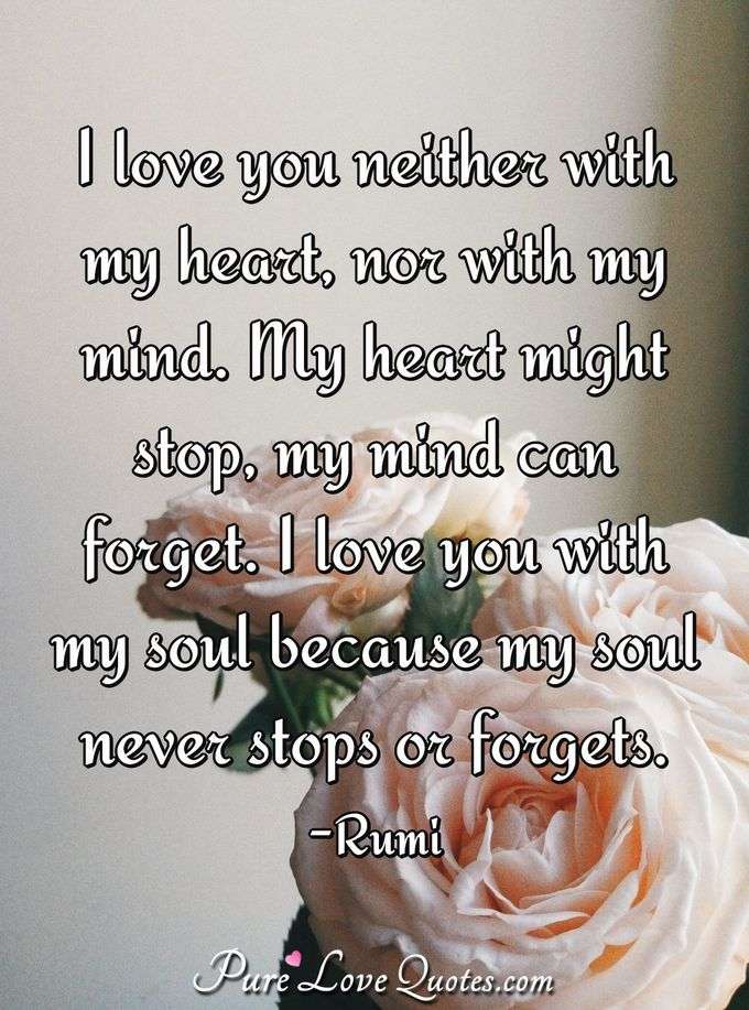 I love you neither with my heart, nor with my mind. My heart might stop, my mind can forget. I love you with my soul because my soul never stops or forgets. - Rumi