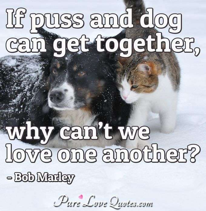 If puss and dog can get together, why can’t we love one another? - Bob Marley