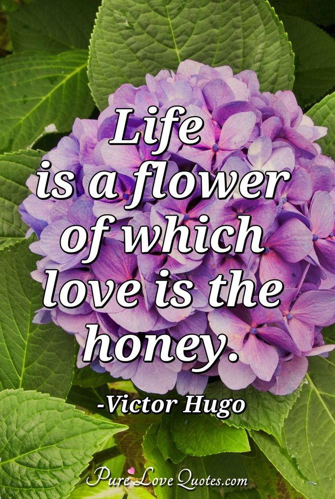 Life is a flower of which love is the honey. - Victor Hugo