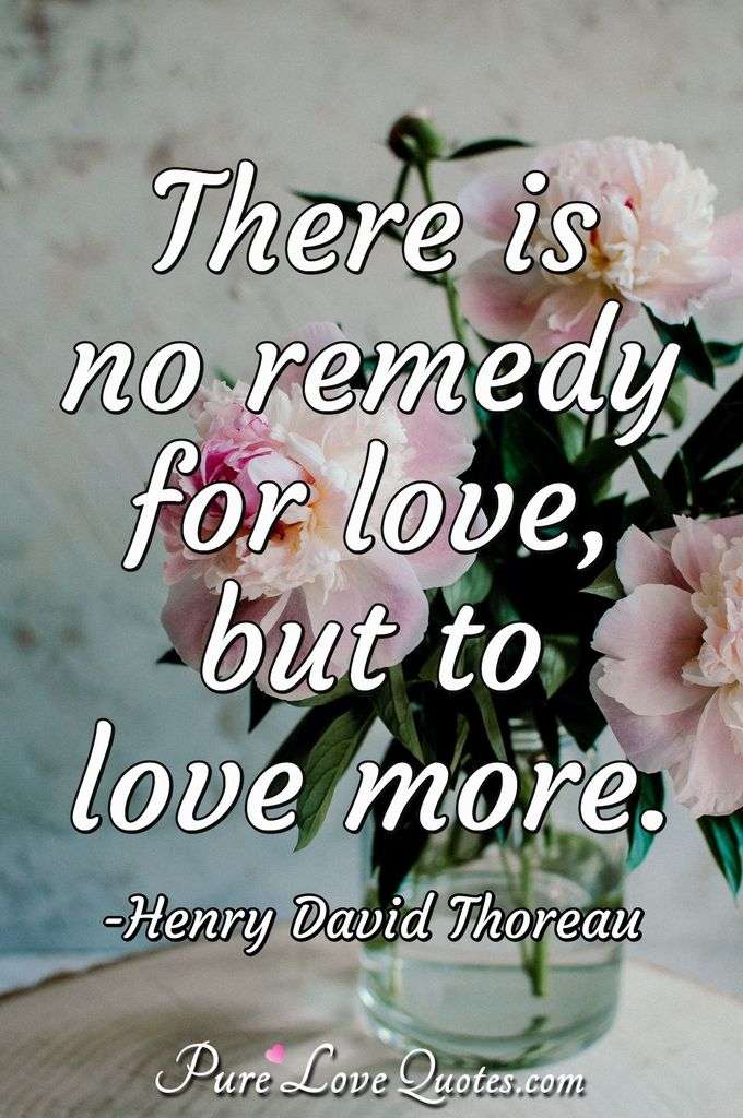 There is no remedy for love, but to love more. - Henry David Thoreau
